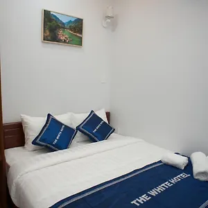 https://the-white-guesthouse.hotelsvungtau.com